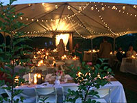 Bear Towne Tents thumbnail